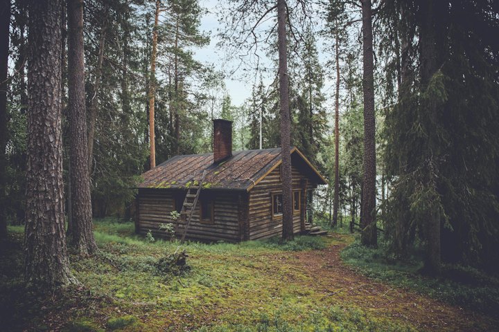 A wooden lodging cabin in the forest